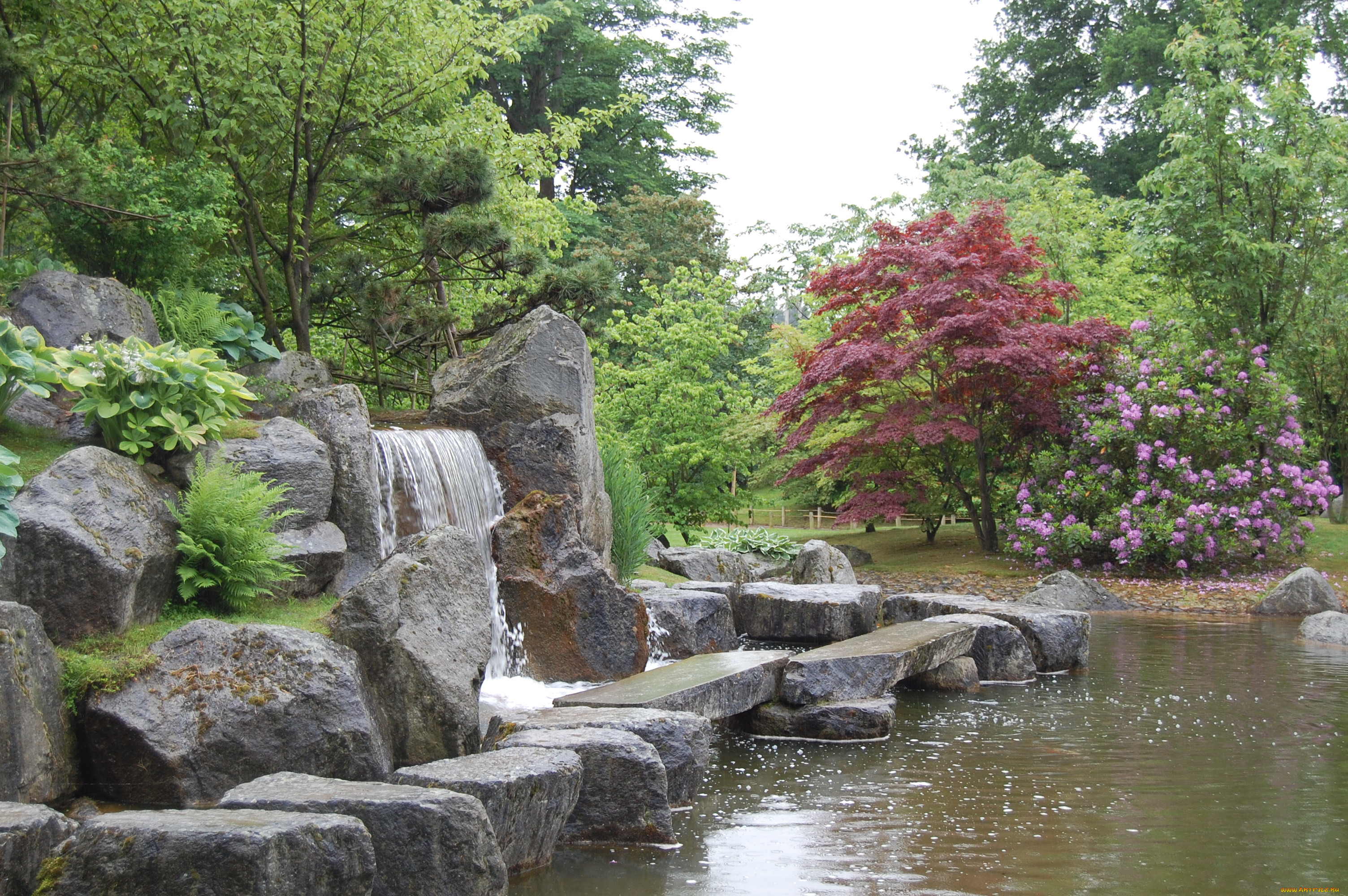 Сад благополучие. Дендра парк японский сад. Японский сад в Ботаническом саду Сакура. Японский сад в Крыму ручей. Сады камней Япония сады.